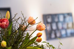 Zahnarztpraxis Maren Lohöfer-Sieck